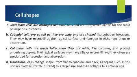 Image result for Types of Tissues