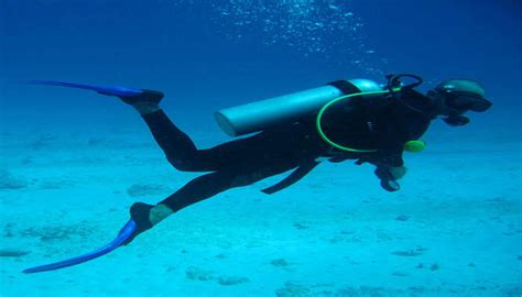 Scuba Diving In Red Sea: Because 2023 Calls For Adventure