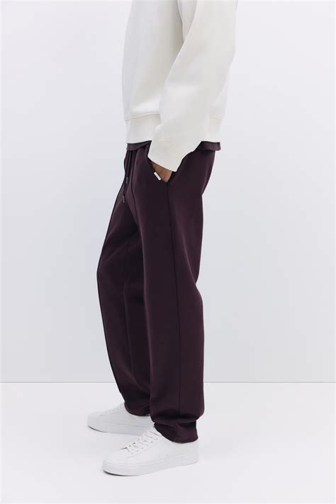 Men’s Plum Regular Fit Tailored joggers | H&M IN