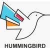 Splunk Expert with 0 - 0 Year of Experience at Humming Bird Consulting ...