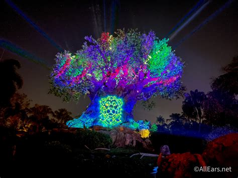 What Is the New Nighttime Show at Disney's Animal Kingdom, and When ...
