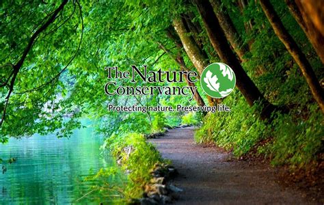 Conservative Nature Pictures 的图像结果