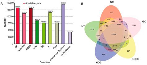 Transcriptomic and Metabolomic Profiling Provides Insights into ...