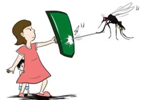 防蚊灭蚊可还不能放松 9月份还是蚊子活动高峰期_宁德网