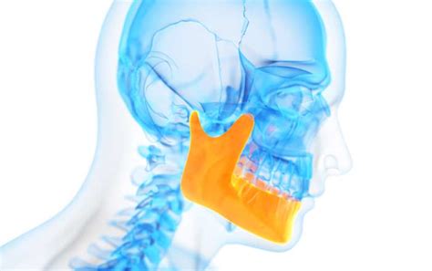 Image result for Nerve Root Block Lower Back