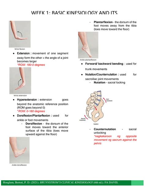 SOLUTION: Movement science basic kinesiology and its mechanical principles 1 - Studypool