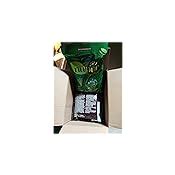 Buy Godrej Nupur 100% Pure Henna Powder for Hair Colour (Mehandi) | for ...