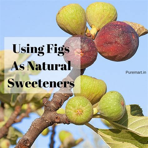 3 Awesome Recipes To Use Figs As Natural Sweeteners! | PureMart Blog
