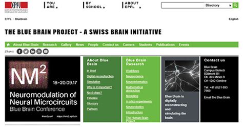 Blue Brain Project 的图像结果