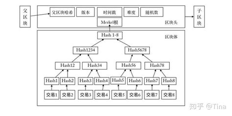 会员如何进行域名实名制 - 新网数码