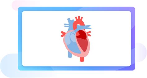 Free Biology Diagram Software with AI Assistance