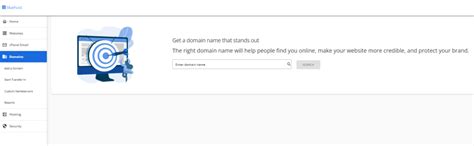 Why Domain Privacy Protection is Essential for Website Security