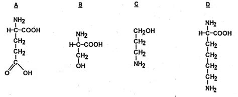 Which one out of A - D given below correctly represents the structural ...