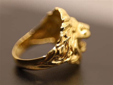 Image result for Lion vs Python Ring