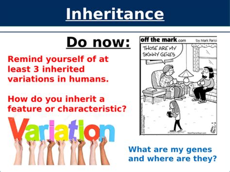 Image result for Inheritance Topic