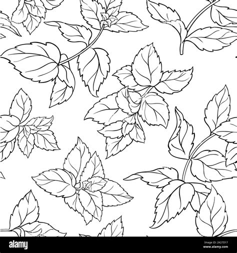 Image result for Peppermint Printable Pattern