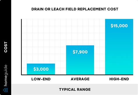 How Much Does a Leach or Drain Field Replacement Cost? (2026)