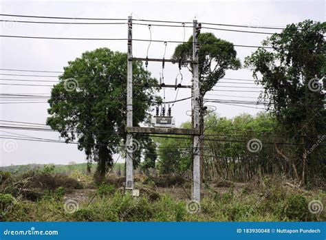 High Voltage Electricity 的图像结果