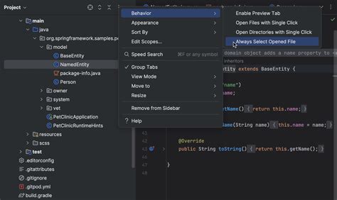 Image result for Vscode vs IntelliJ for Java