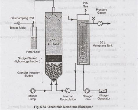 Recent Advances in Sewage Treatment