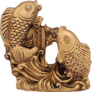 shoppersduniya Feng Shui Double Cross Fish for Good Luck and Prosperity ...