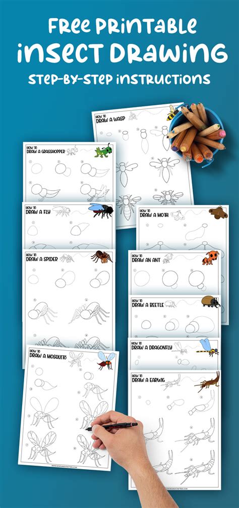 Step by Step Drawing Insects 的图像结果