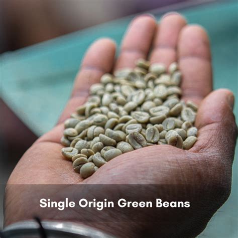 Anaerobic Naturals Green Beans – Baarbara Coffee