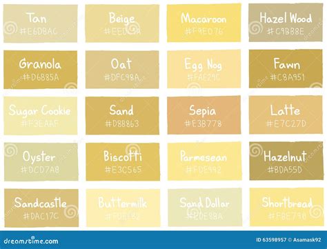 Tan Tone Color Shade Background With Code And Name Cartoon Vector ...