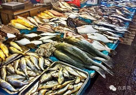 青岛去哪里买海鲜最新鲜 想要购买便宜又新鲜的海鲜就去这里 - 旅游出行 - 教程之家