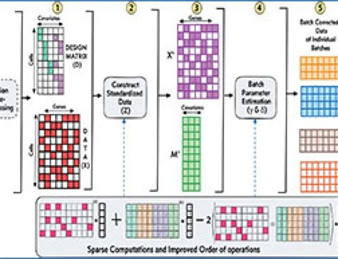 Single-cell RNA-seq 的图像结果