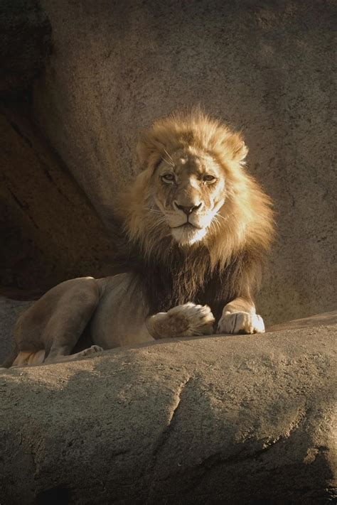 Sexy+Girl+With+Big+Boobies Videos, Download The BEST Free 4k Stock ...