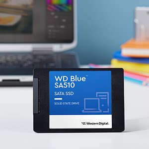 Western Digital WD Blue SA510 SATA Internal Solid State Drive (SSD)