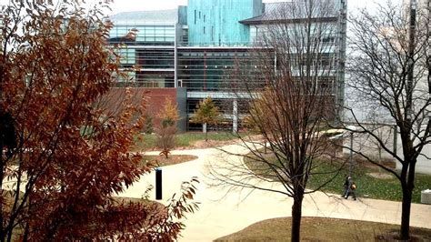 Dual Read Computer Science 的图像结果