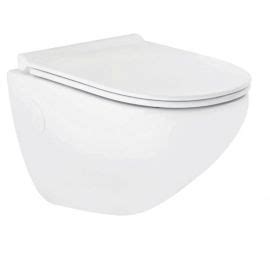 Parryware Cardiff Wall Hung Rimless WC P-Trap Wholesale Price Online ...