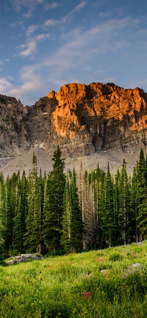 8k Wallpaper Nature