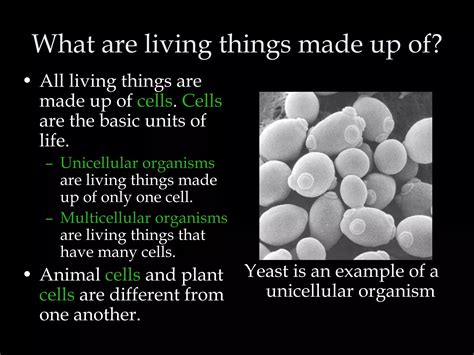 The organisation of living things | PPTX