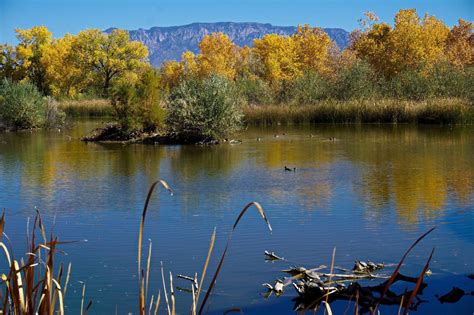 Rio Grande Nature Center State Park, Albuquerque Vacation Rentals ...