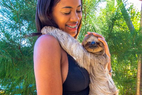 Image result for Matplotlib Create a New Subplots within One Subplot