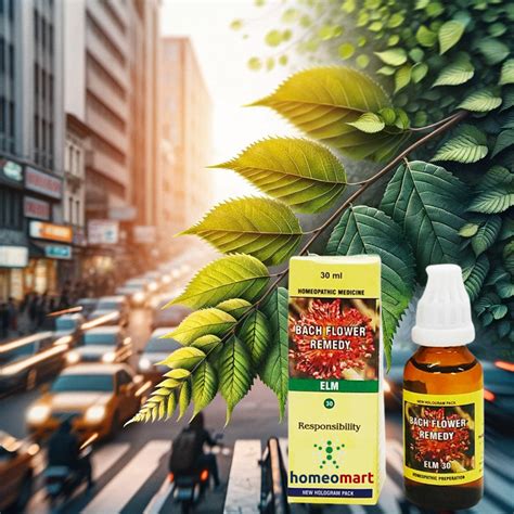 Natural Relief with Bach Flower Remedies for Anxiety & Depression ...