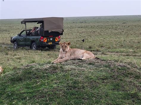 MBITI AFRICA SAFARIS (2026) All You Need to Know BEFORE You Go (with ...