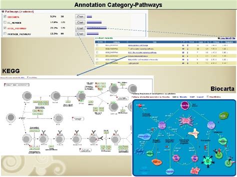 Image result for David Database Tutorial