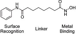 Fig. 1: Structure of basic pharmacophore of SAHA and synthesized HDAC ...