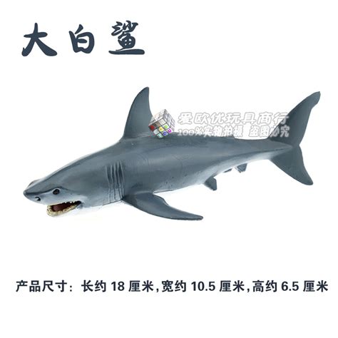 巨齿鲨VS金刚，动物战争模拟。 - YouTube