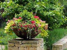 Container Gardening Plants by Container Gardening Tips Ideas Flower Plant Container Gardening Plants