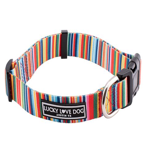 Top 10 Stylish Dog Collars at Wen Fontaine blog