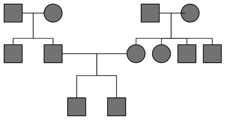Image result for Genogram Example