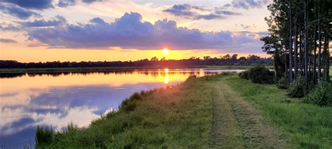 North Carolina 55, Kinston, NC 28501 | LandWatch