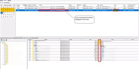 Image result for How to Backup SQL Express Avamar