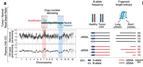 Going Founder Mode On Cancer - by Elliot Hershberg