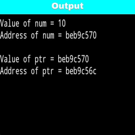 Image result for Pointer in C Example Program